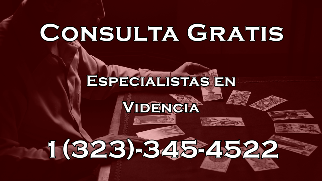 Banner Videncia